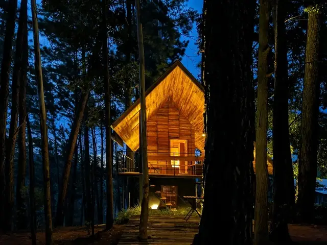 Night Photography for Beginners: How to Shoot with Confidence in Low Light