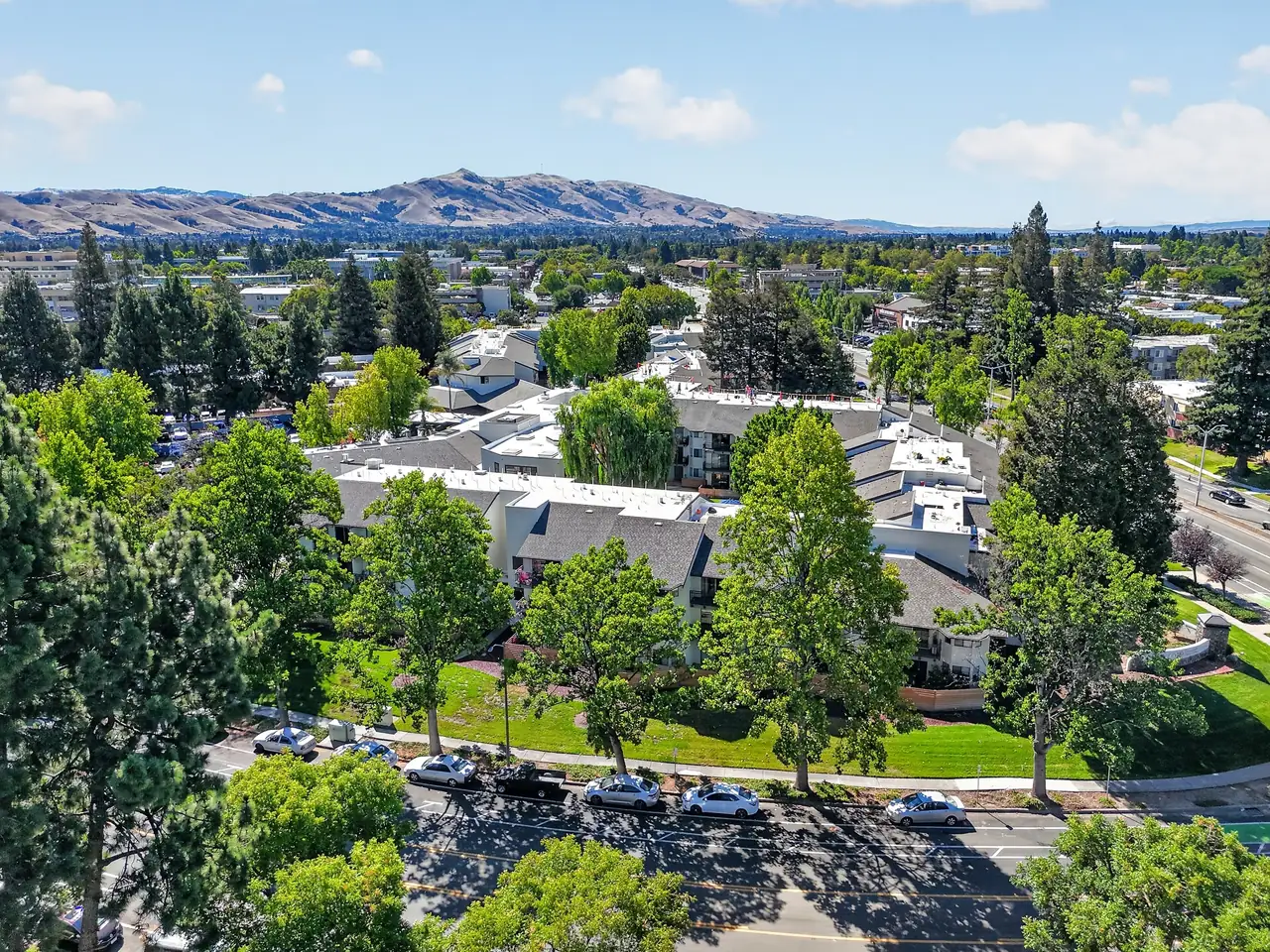 Aerial drone view of a residential community surrounded by mature trees with rolling hills in the background