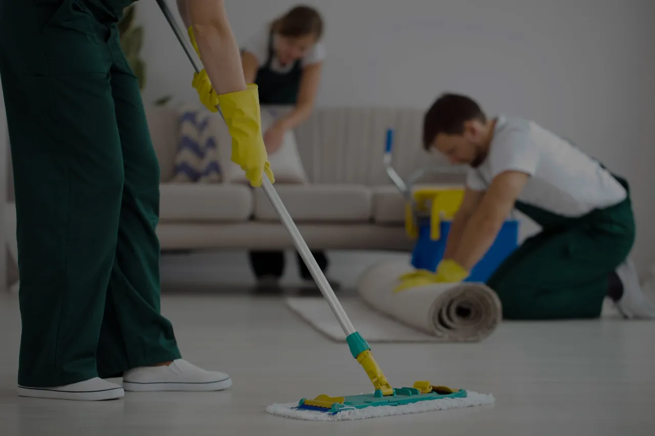Professional house cleaning service